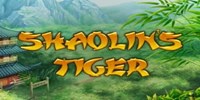 Shaolin's Tiger