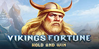 Viking Fortune: Hold and Win
